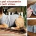 Comment faire passer un chien dans un tunnel ?