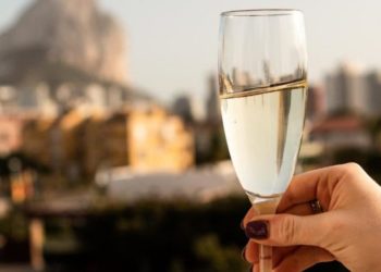 Comment boire du Berger Blanc ?