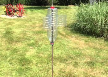 Comment chasser les oiseaux des stores ?