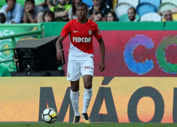 Quel âge ont les chevaux à ?