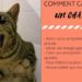 Comment calmer le rut d'un chat ?