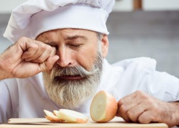 Est-ce que les chaleurs font mal au chat ?