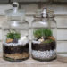 Quelle plante fermée pour faire un terrarium ferme ?