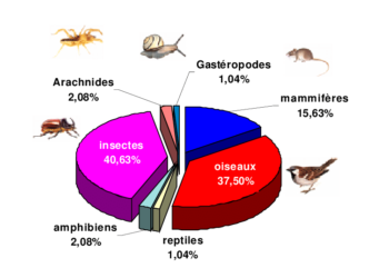 Quel est le message de la chouette ?