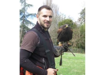 Quand chasser le corbeau ?