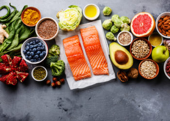 Quels sont les tétrapodes ?