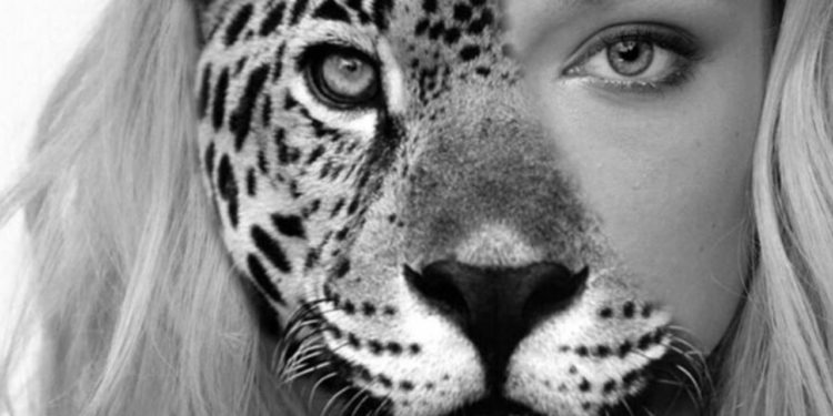 Quel signe quand on voit un corbeau ?