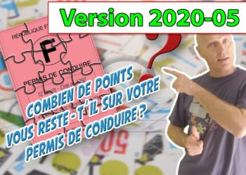 Comment connaître le nombre de chiots ?