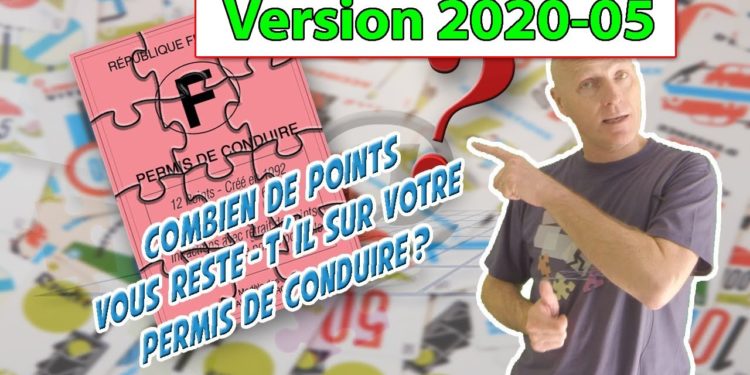 Comment connaître le nombre de chiots ?