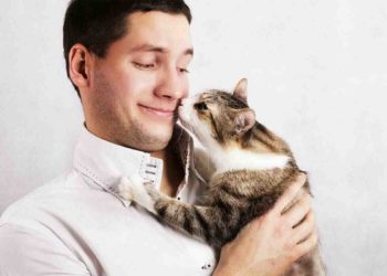 Est-ce que les chats aiment leur maitre ?