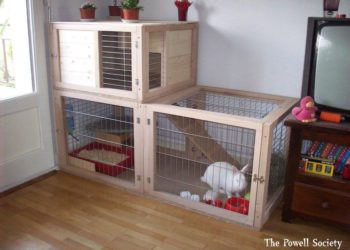 Quel bois pour maison lapin ?