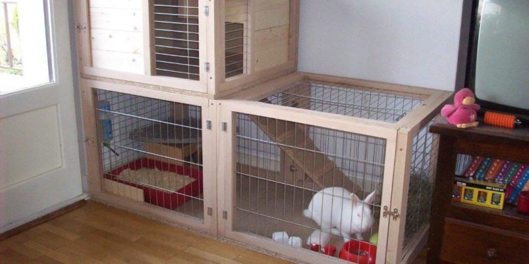 Quel bois pour maison lapin ?