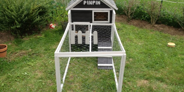 Comment faire une cabane pour lapin en carton ?