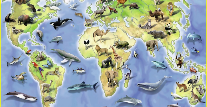 Où vivent les tatous ?