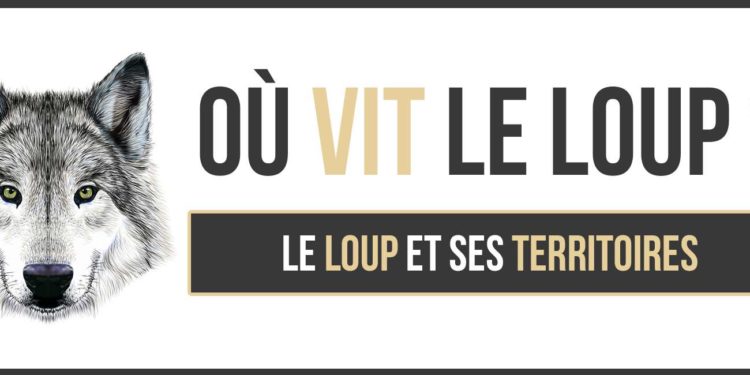 Où vit le tamanoir ?