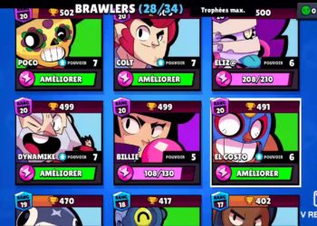 Quel est le meilleur raticide ?