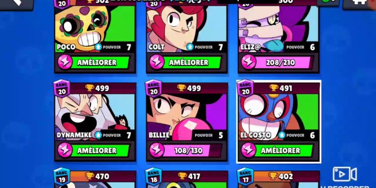 Quel est le meilleur raticide ?