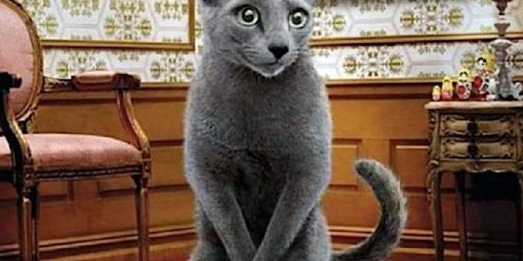 Est-ce normal de faire pipi blanc ?