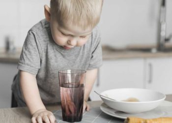 Quand donner de l'eau à un oisillon ?