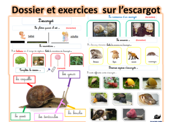 Est-ce que les escargots boivent ?