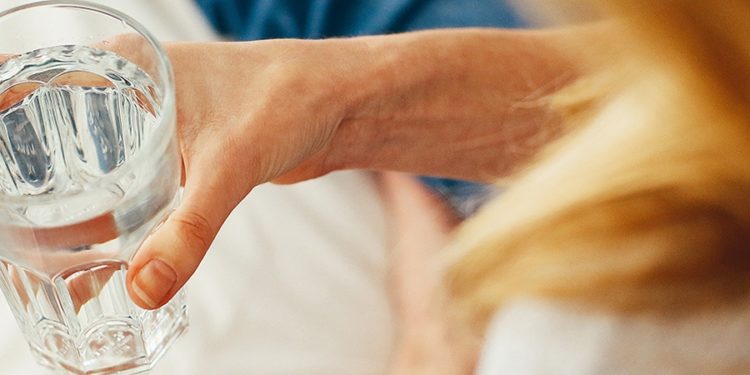 Quand un chiot peut boire de l'eau ?