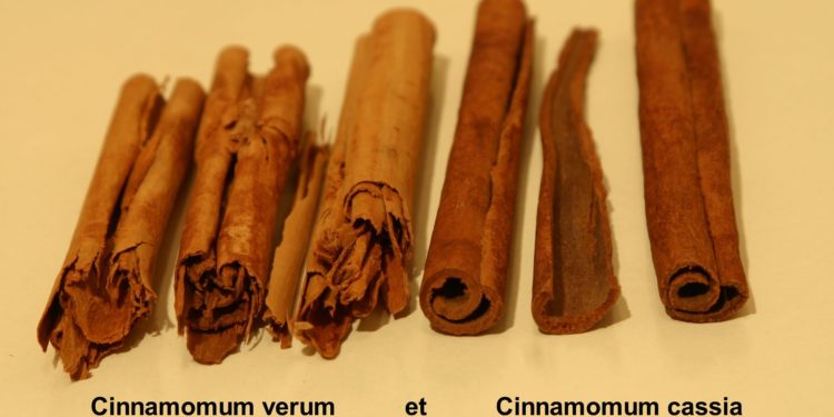 Quand boire la cannelle ?