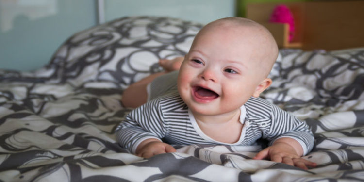 Comment prendre soin d'un bébé chat ?