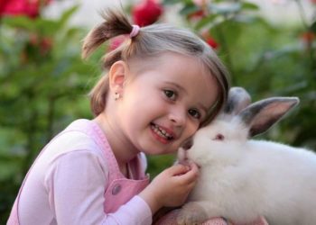 Comment rendre heureux un lapin bélier ?