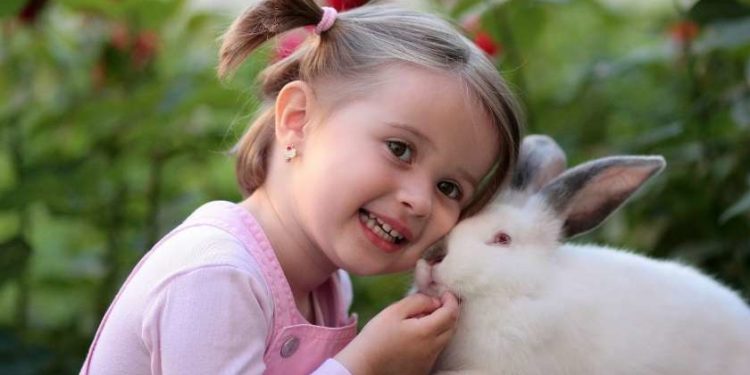 Comment rendre heureux un lapin bélier ?