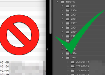 Pourquoi il ne faut pas toucher un renard ?
