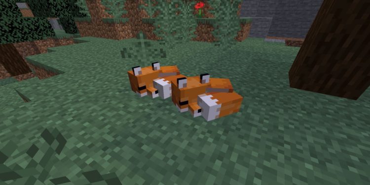 Comment apprivoiser un renard blanc Minecraft ?