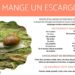 Est-ce que les escargots mangent des feuilles ?