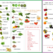 Quel fruit et légume pour lapin ?