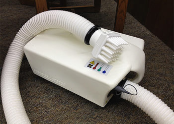 Quelle température pour tuer les poux ?