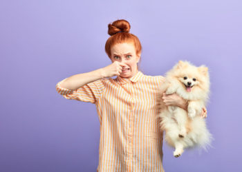 Comment faire si mon chat sent mauvais ?