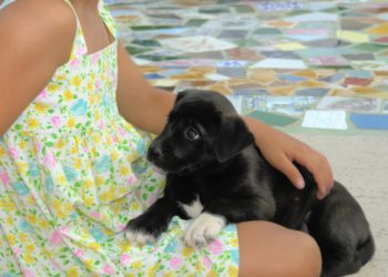 Comment se débarrasser des odeurs d'urine ?