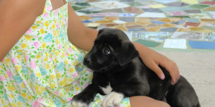 Comment se débarrasser des odeurs d'urine ?