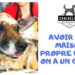 Comment garder une maison propre avec un chien ?
