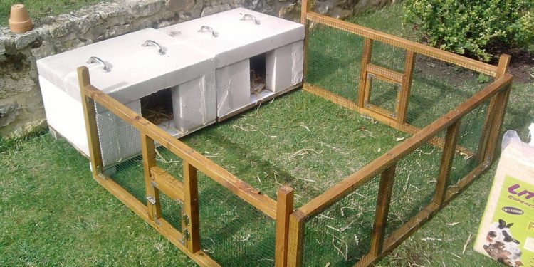 Comment construire un clapier pour cochon d'Inde ?