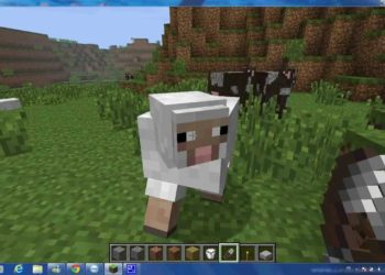 Comment faire pour attirer un mouton dans Minecraft ?