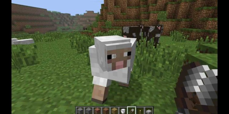 Comment faire pour attirer un mouton dans Minecraft ?