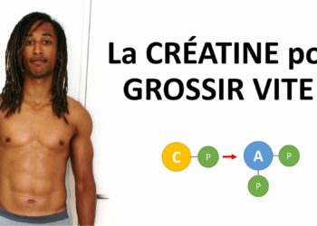 Comment faire grossir les chats ?