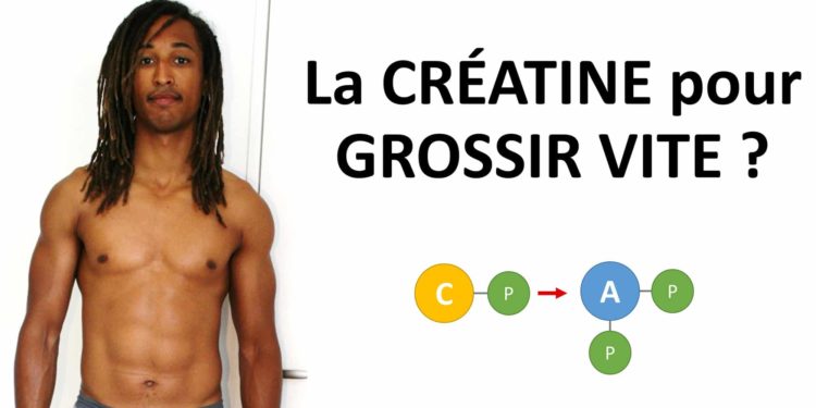 Comment faire grossir les chats ?