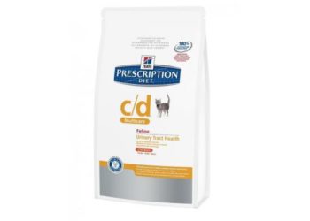 Quelles sont les meilleurs aliments pour chats en insuffisance rénale ?