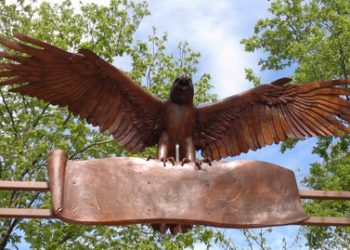 Comment devenir fauconnier au Puy du Fou ?