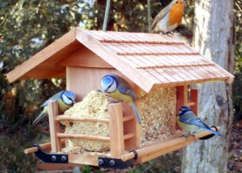 Comment faire une echelle pour oiseaux ?