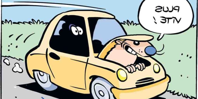 Est-ce que les blaireaux mangent les chats ?