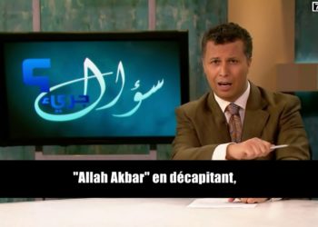 Pourquoi les octodons crient ?