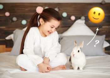 Comment savoir si le lapin est heureux ?