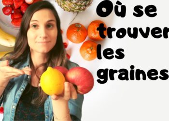 Où Trouve-t-on des renards ?